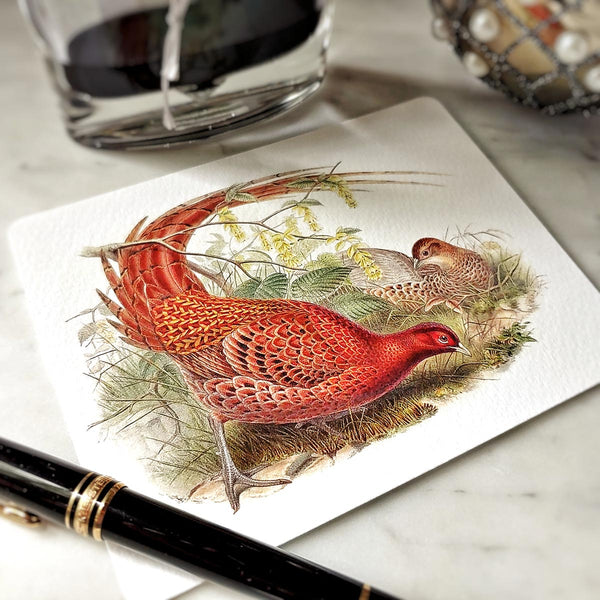 showing a detail of the pheasant on The Punctilious Mr. P's Place Card Co.custom note card, with personalized name on the back
