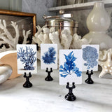 The Punctilious Mr. P's Place Card Co. 'Blue Seaweed and Coral' custom place card set
