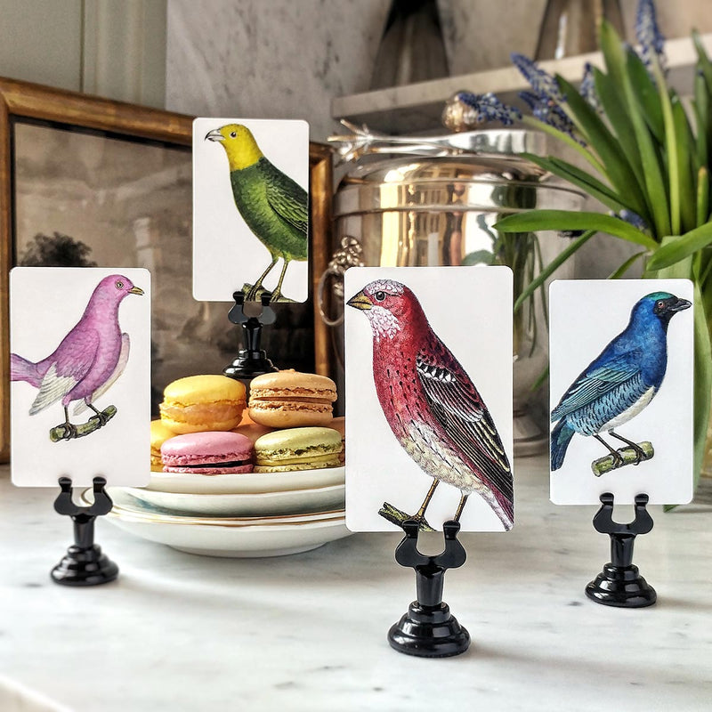 The Punctilious Mr. P's Place Card Co. 'Chromatic Cuckoo' custom place card set