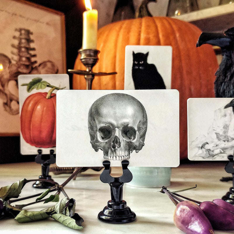 Mr. P's skull illustrated place card on a marble table with a large pumpkin in background