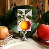 The Punctilious Mr. P's Place Card Co. 'Apple Medley' custom place cards on a simple white plate with magnolia leaves and fresh apples as decor against a chic antique chinoiserie screen in the background