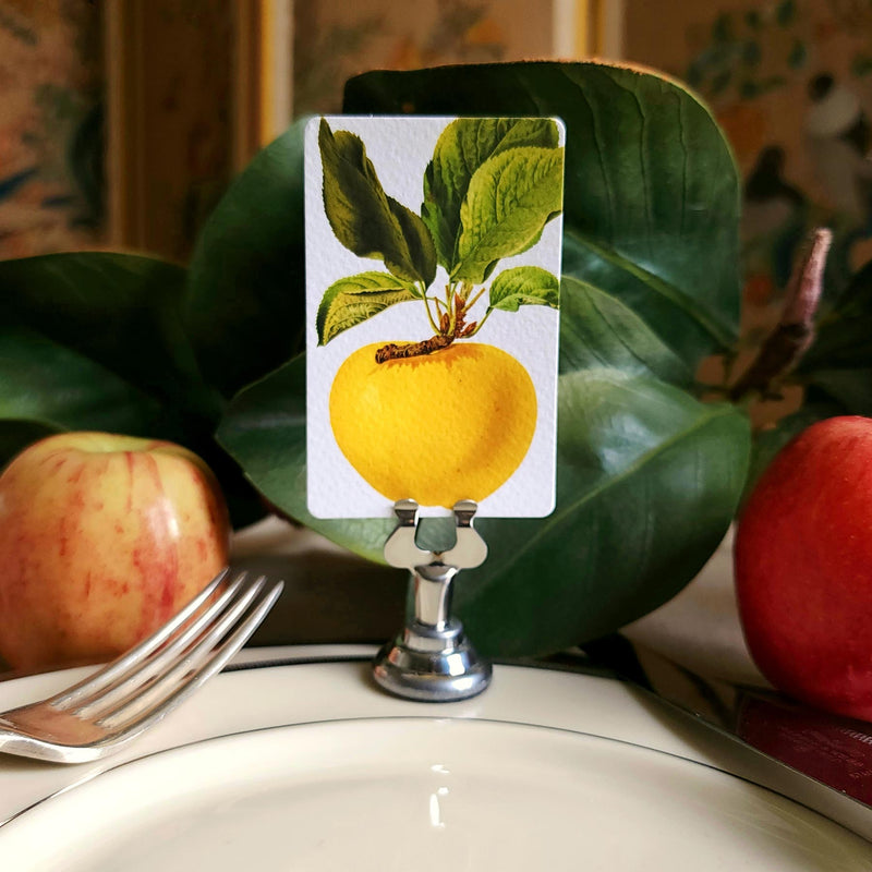 The Punctilious Mr. P's Place Card Co. 'Apple Medley' custom place cards on a simple white plate with magnolia leaves and fresh apples as decor against a chic antique chinoiserie screen in the background