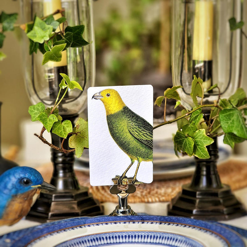 The Punctilious Mr. P's Place Card Co. yellow and green 'Chromatic Cuckoo' custom place cards on a beautiful tablescape