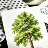 American Sycamore Tree - Custom Note Cards - The Punctilious Mr. P's Place Card Co.
