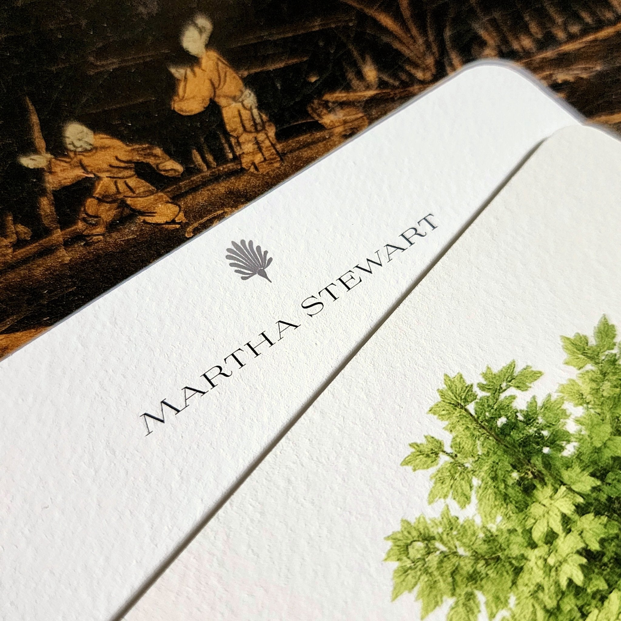 Set/ 12 American Sycamore Tree Custom Note Card Set