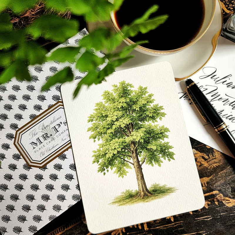 Set/ 12 American Sycamore Tree Custom Note Card Set
