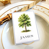 American Sycamore Tree - Custom Place Cards - Omni - The Punctilious Mr. P's Place Card Co.