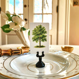 American Sycamore Tree - Custom Place Cards - Upright - The Punctilious Mr. P's Place Card Co.