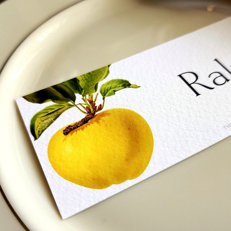 Apple Medley - Custom Place Cards - Oblong - Laydown - The Punctilious Mr. P's Place Card Co.