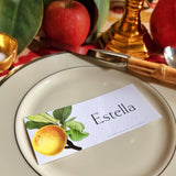 Apple Medley - Custom Place Cards - Oblong - Laydown - The Punctilious Mr. P's Place Card Co.