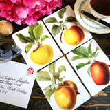 Apple Medley - Pack of Custom Note Cards - The Punctilious Mr. P's Place Card Co.