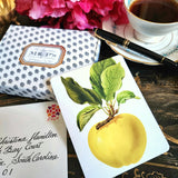 Apple Medley - Pack of Custom Note Cards - The Punctilious Mr. P's Place Card Co.