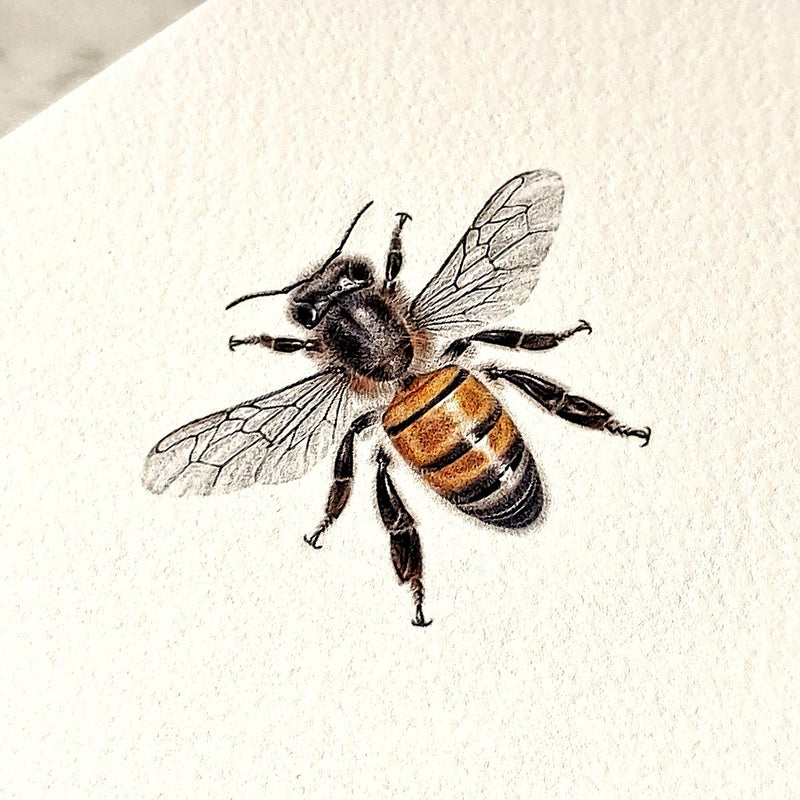 Bees - Pack of Custom Note Cards - The Punctilious Mr. P's Place Card Co.