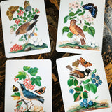 Birds, Berries and Butterflies - Pack of Custom Note Cards - The Punctilious Mr. P's Place Card Co.