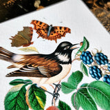 Birds, Berries and Butterflies - Pack of Custom Note Cards - The Punctilious Mr. P's Place Card Co.
