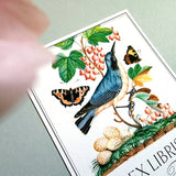 Birds, Berries & Butterflies - Custom Bookplate - The Punctilious Mr. P's Place Card Co.