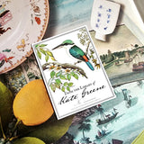 Birds of India - Custom Bookplate - The Punctilious Mr. P's Place Card Co.