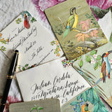 Birds of India - Custom Invitations s/4 - The Punctilious Mr. P's Place Card Co.