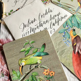 Birds of India - Custom Invitations s/4 - The Punctilious Mr. P's Place Card Co.