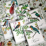 Birds of India - Custom Place Cards - Omni - The Punctilious Mr. P's Place Card Co.