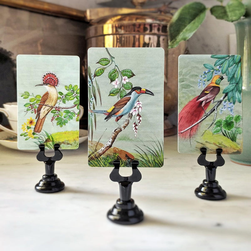 Birds of India - Custom Place Cards - Upright - The Punctilious Mr. P's Place Card Co.