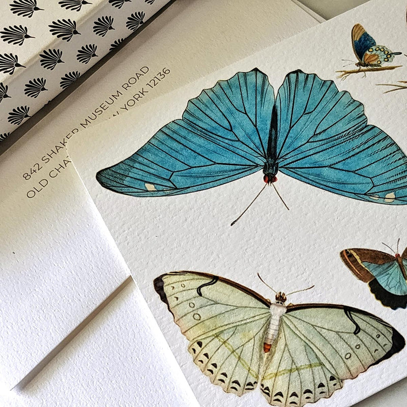 Blue Butterflies - Pack of Custom Note Cards - The Punctilious Mr. P's Place Card Co.