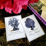 Blue Seaweed + Coral - Custom Bookplate - The Punctilious Mr. P's Place Card Co.