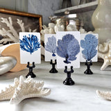 Blue Seaweed & Coral - Custom Place Cards - Upright - The Punctilious Mr. P's Place Card Co.