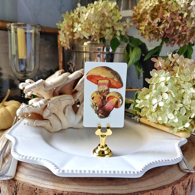 Boletus Beauties - Custom Place Cards - Upright - The Punctilious Mr. P's Place Card Co.