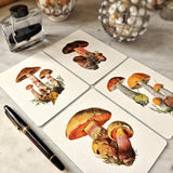 Boletus Beauties - Pack of Custom Note Cards - The Punctilious Mr. P's Place Card Co.