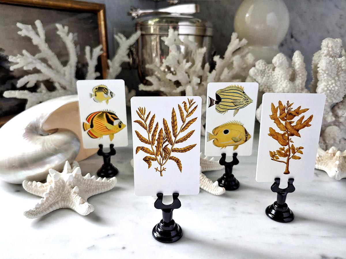 Set/ 16- Fish & Seaweed illustrated custom place cards