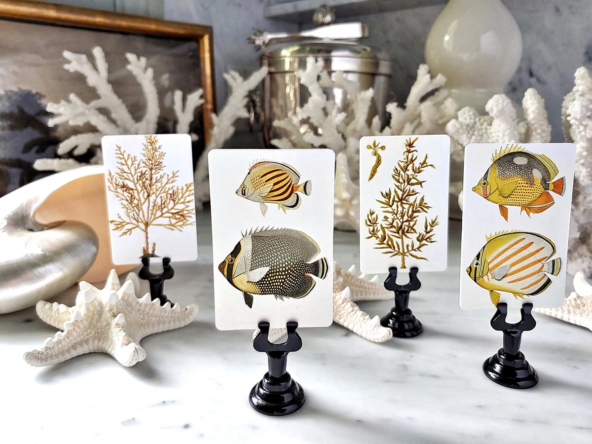 Set/ 16- Fish & Seaweed illustrated custom place cards