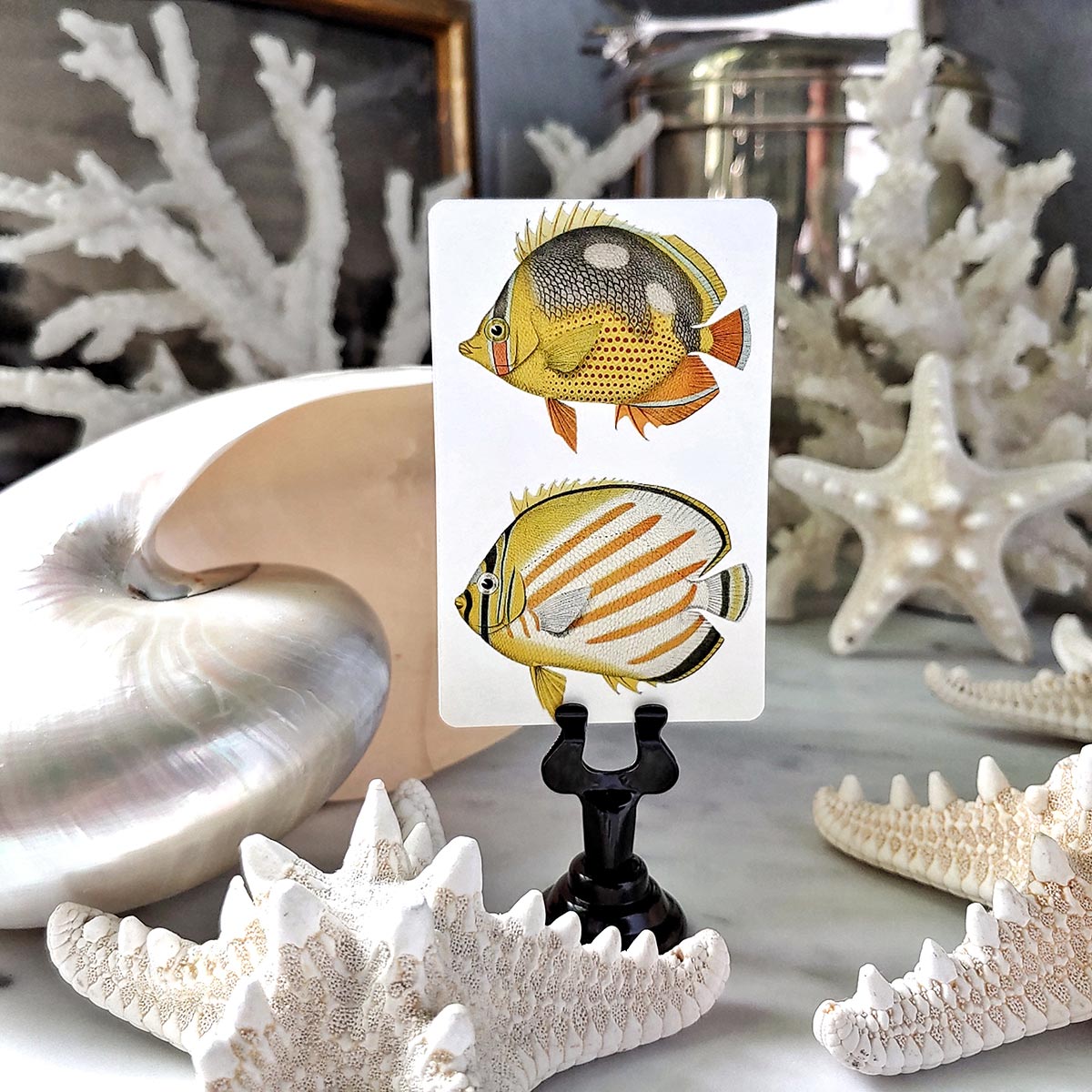 Set/ 16- Fish & Seaweed illustrated custom place cards