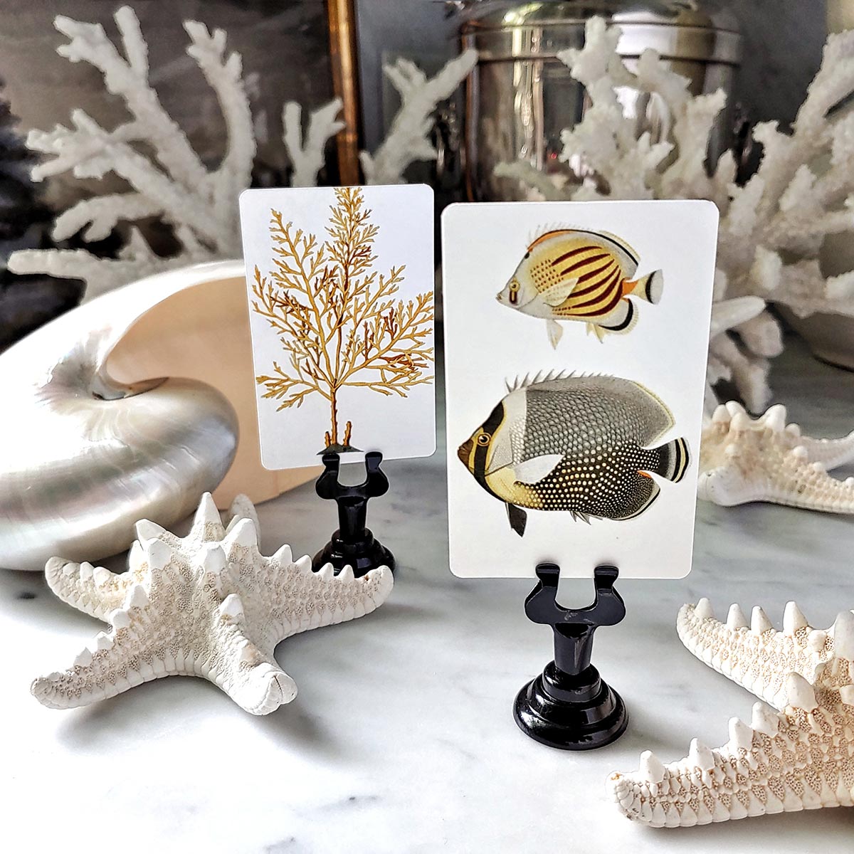 Set/ 16- Fish & Seaweed illustrated custom place cards