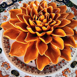 Ceramic Blossom: Jomanda Dahlia - Rust - The Punctilious Mr. P's Place Card Co.