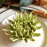 Ceramic Blossom - Mum - Pistachio - The Punctilious Mr. P's Place Card Co.