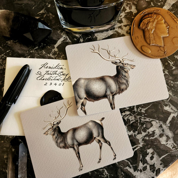 Elk - Pack of Custom Note Cards - The Punctilious Mr. P's Place Card Co.