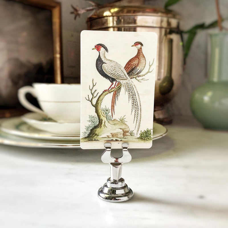 Fanciful Pheasants - Custom Place Cards - Upright - The Punctilious Mr. P's Place Card Co.