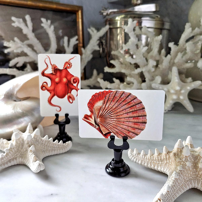 Fiery Mollusks - Custom Place Cards - Upright - The Punctilious Mr. P's Place Card Co.
