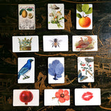 Four Seasons Box - 12 Packs of Custom Place Cards - Upright - The Punctilious Mr. P's Place Card Co.