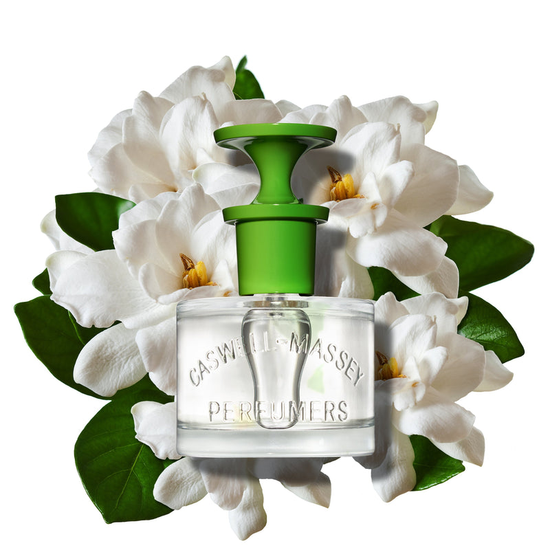 Gardenia Eau de Toilette - The Punctilious Mr. P's Place Card Co.