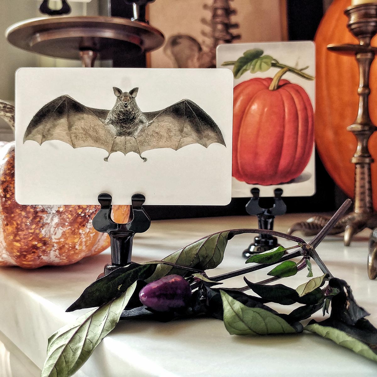 Set/ 16 Halloween Classics Theme custom name place cards set-16-halloween-classics-theme-custom-name-place-cards