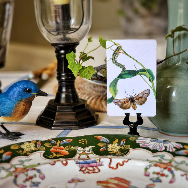 Moth & Twig - Custom Place Cards - Upright - The Punctilious Mr. P's Place Card Co.
