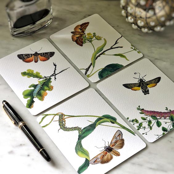 Moth & Twig - Pack of Custom Note Cards - The Punctilious Mr. P's Place Card Co.