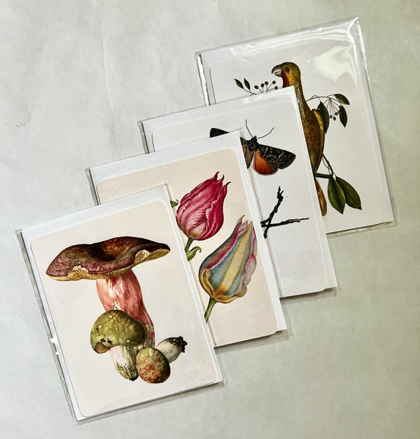Note Card Single s/4 Per Pack - The Punctilious Mr. P's Place Card Co.