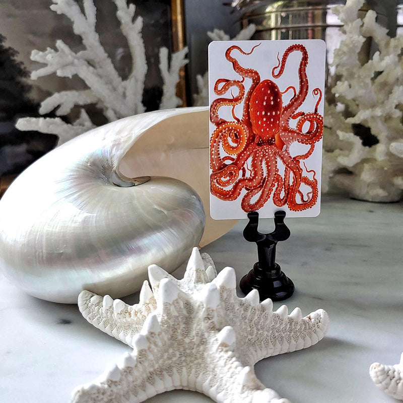 Octopodes & Conch - Custom Place Cards - Upright - The Punctilious Mr. P's Place Card Co.