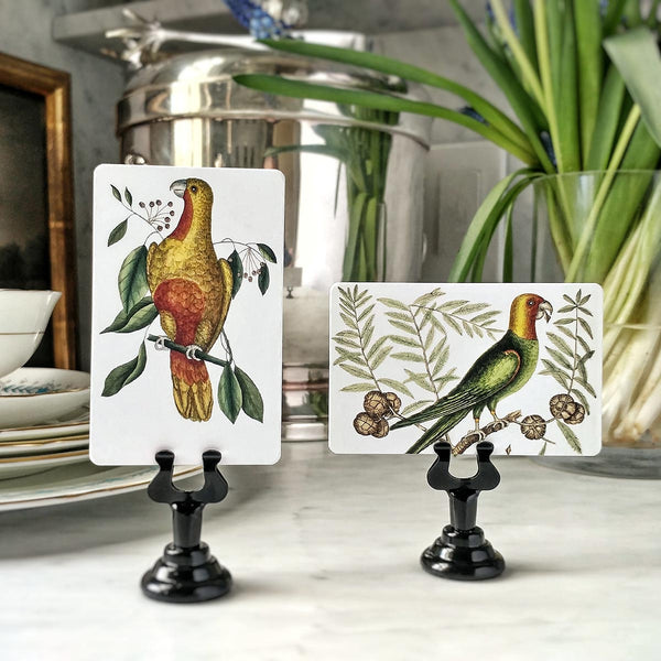 Parakeets - Custom Place Cards - Upright - The Punctilious Mr. P's Place Card Co.