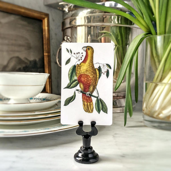 Parakeets - Custom Place Cards - Upright - The Punctilious Mr. P's Place Card Co.