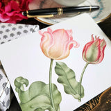 Parrot Tulips - Custom Note Cards - The Punctilious Mr. P's Place Card Co.