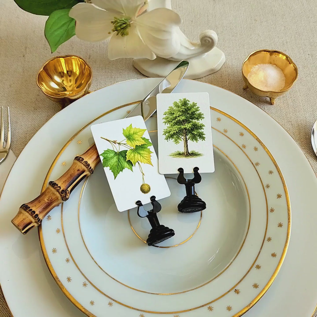 Video of Sycamore Tree and leaf Illustrated Place card on a decorative plate with gold rim and bamboo cutlery 